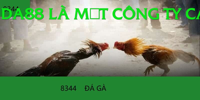 Đá Gà Trực Tiếp - Ưu đãi đặc biệt