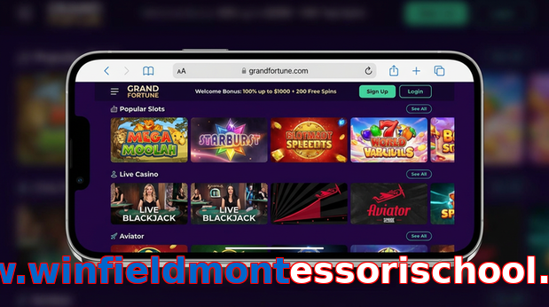 Main screen of Www.winfieldmontessorischool.com ios page for PK players